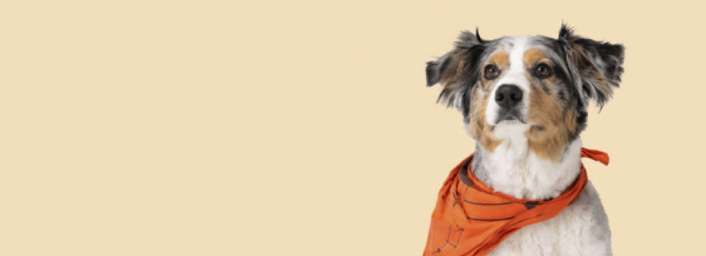 Trupanion background